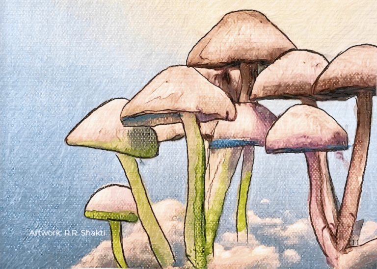 Conversations around Hope & Healing through the lens of Psilocybin